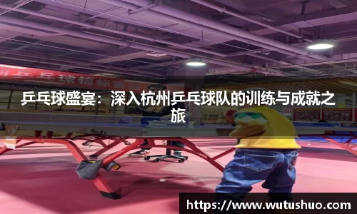 乒乓球盛宴：深入杭州乒乓球队的训练与成就之旅